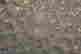item-47991138=3