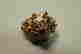 item-48009764=4