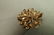 14K Gold and Seed Pearl Floral Brooch Pin. Set w - 2