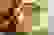 item-48009847=3