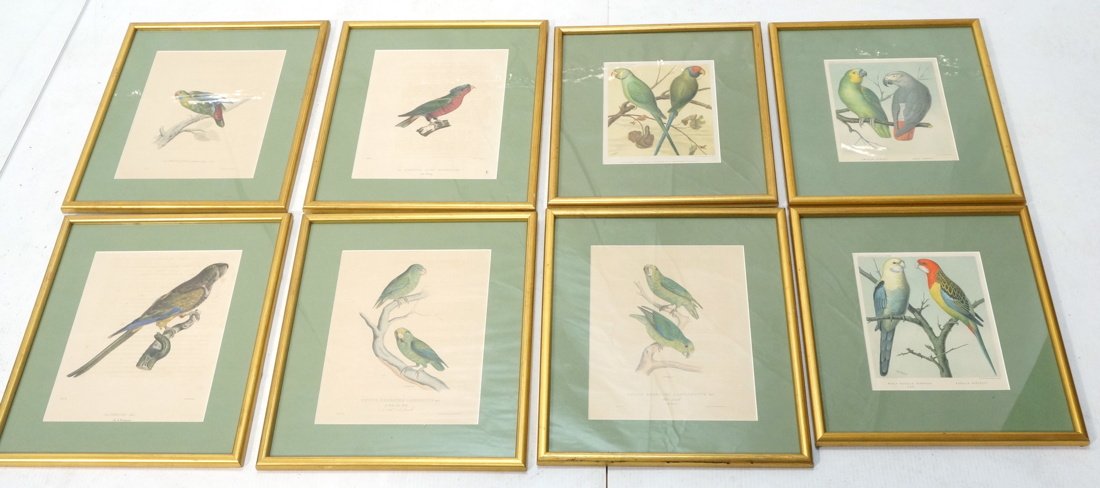 Set 8 Framed Botanical Lithograph Prints. Vincent (1 of 9)