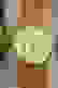 item-48113574=3