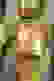 item-48113574=4