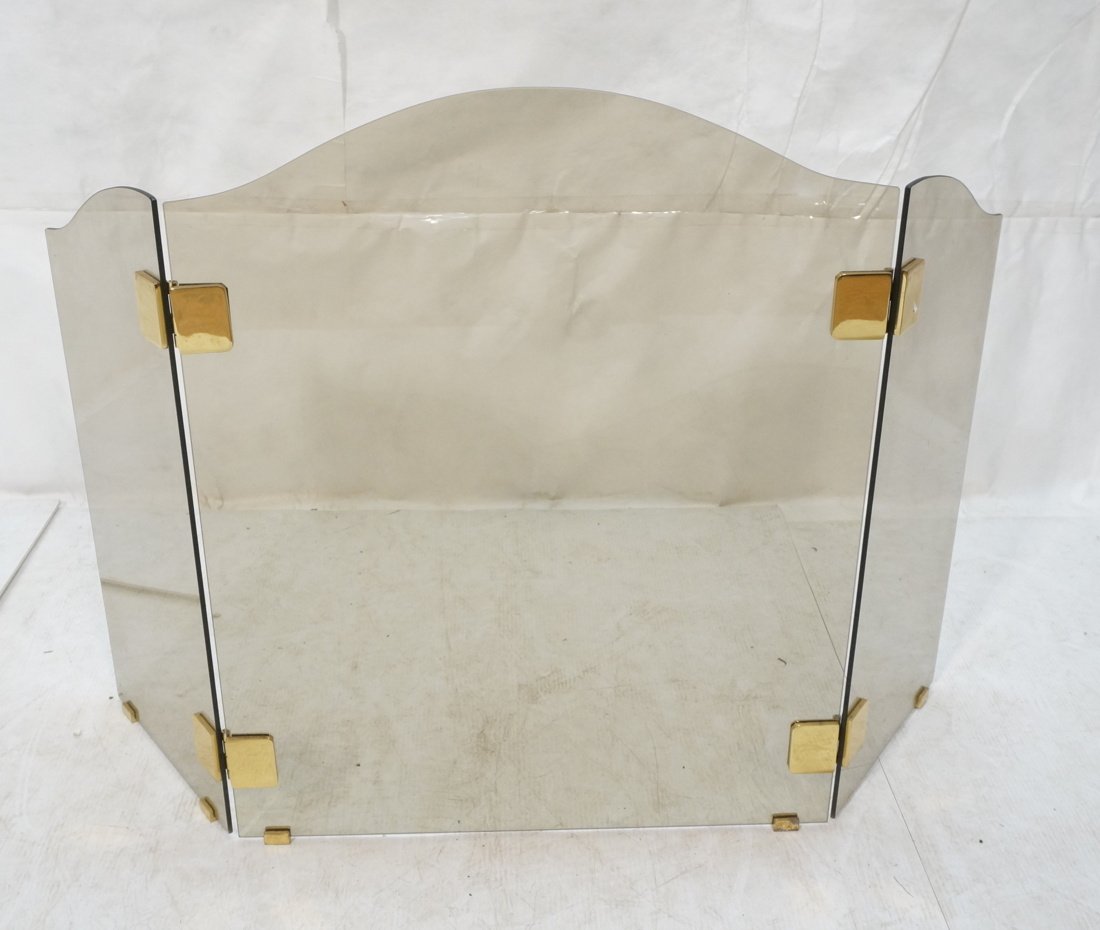 Three Part Smoked Glass Fireplace Screen. Brass C (1 of 6)