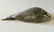 Inuit Art - I. KOPALIE (b 1948, Broughton Island) - 4