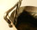 Hand Hammered Copper Pail With Acanthus Leaves - 3