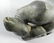 Inuit Art - David NUVALINGA (b. 1925, Nunavik) - 4