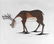 INUIT ART - David POISEY (XX, Panniqtuuq, Nunavut)
