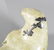 INUIT ART - CARVING OF WALRUS SIGNED INOKEE - 5