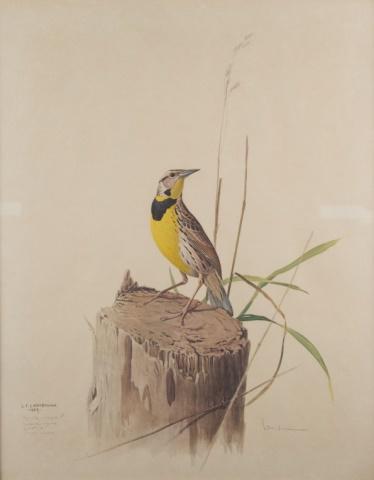 James Fenwick LANSDOWNE (1937-2008) Canadian (1 of 7)