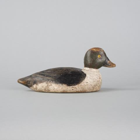 Henri Laviolette (1878-1923) Goldeneye (1 of 10)