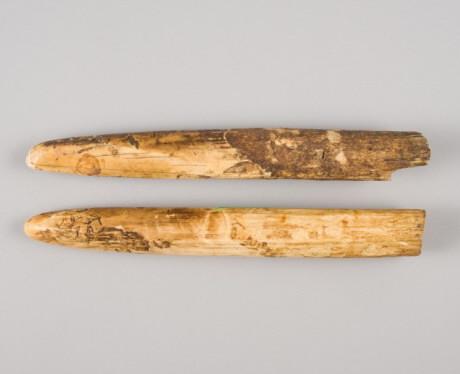 Marine Objects (1 of 10)