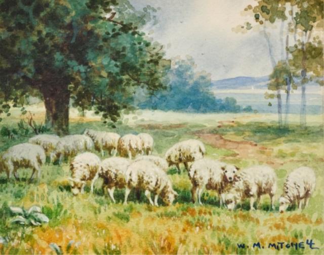 Willard M. Mitchell (1879-1955) Canadian (1 of 6)