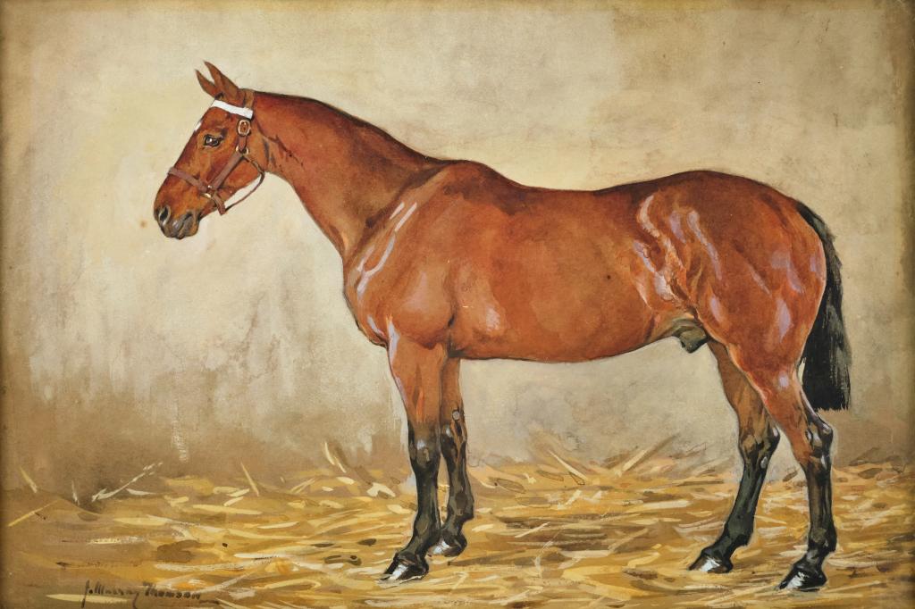 John Murray THOMSON, R.S.A. (1885-1974) British: Thoroughbred, watercolour & gouache on paper, 9 x 13 1/2 inches, signed lower left.