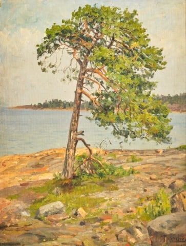Woldemar TOPPELIUS (1858 - 1933) Finnish (1 of 6)
