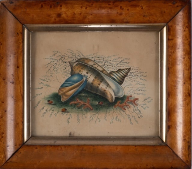 EARLY 19TH C. WATERCOLOUR, NATURE (1 of 3)