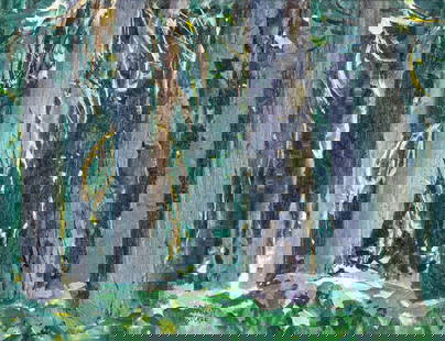 George Franklin ARBUCKLE (1909 - 2001) R.C.A.: Rain Forest, 1979, oil on masonite, 12 x 16 inches, signed lower left, titled, dated and signed verso, Roberts Gallery label verso. George Franklin Arbuckle was born in Toronto. He studied at the