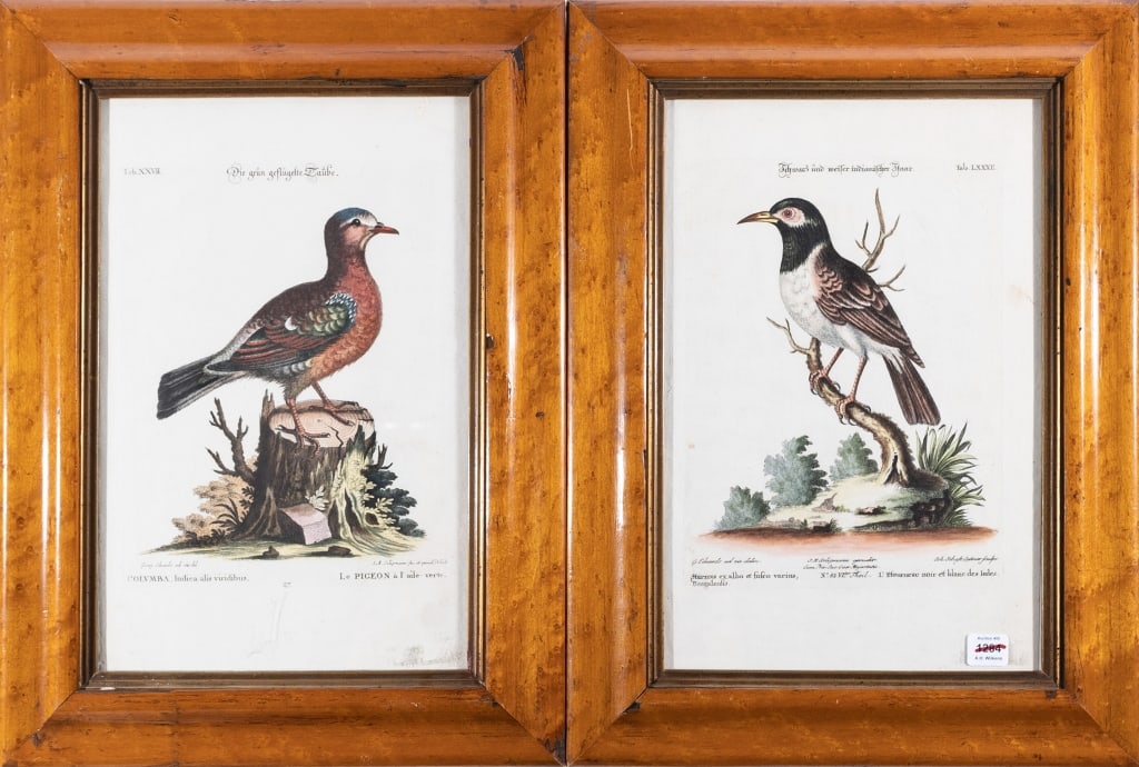 GEORGE EDWARDS, FRS (ENGLISH, 1694-1773) (1 of 8)