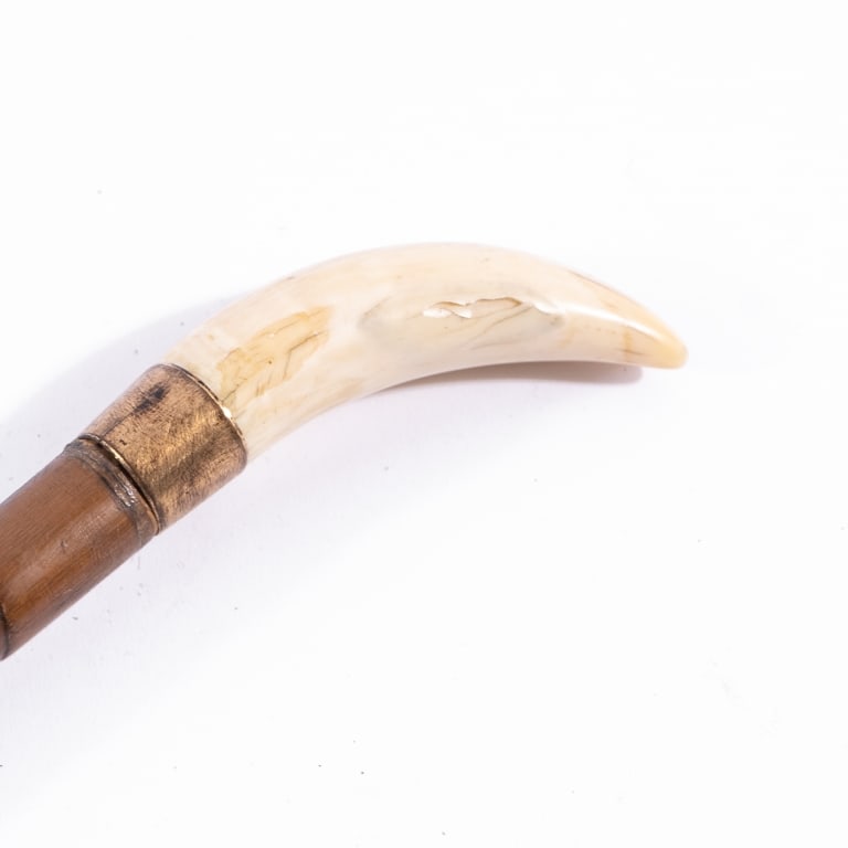 WHALER INSPIRED WALKING STICK - 2