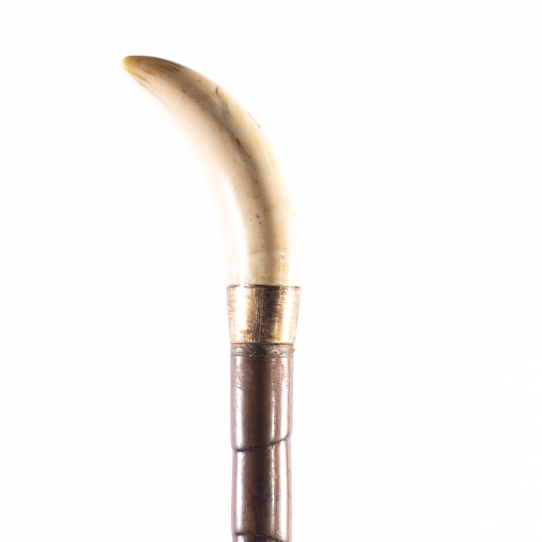 WHALER INSPIRED WALKING STICK - 3