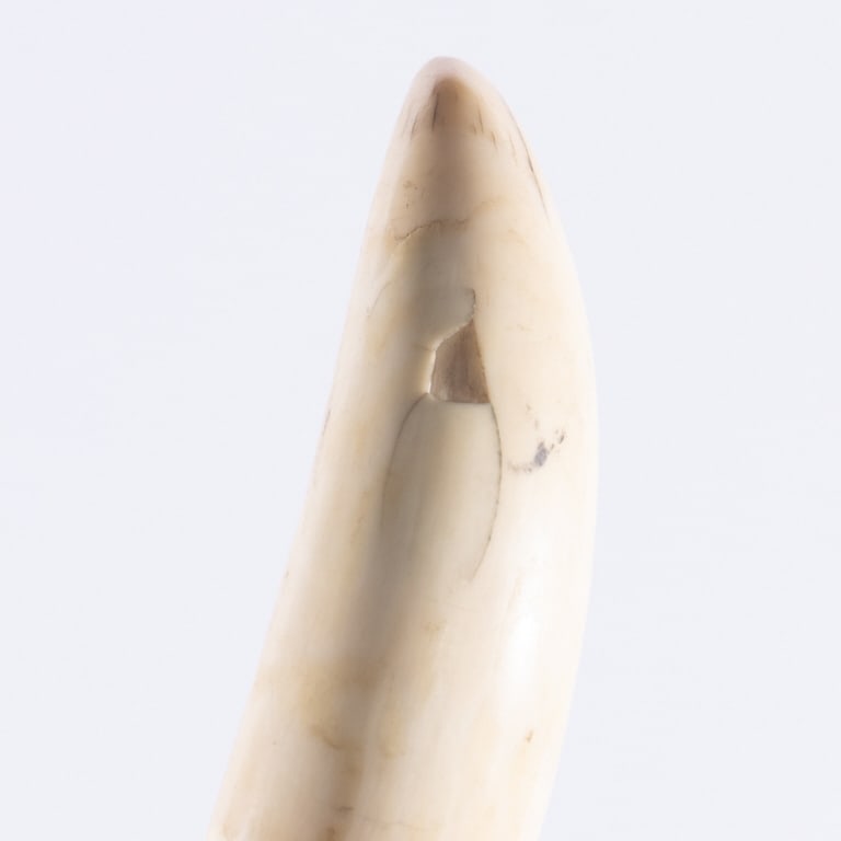 WHALER INSPIRED WALKING STICK - 4