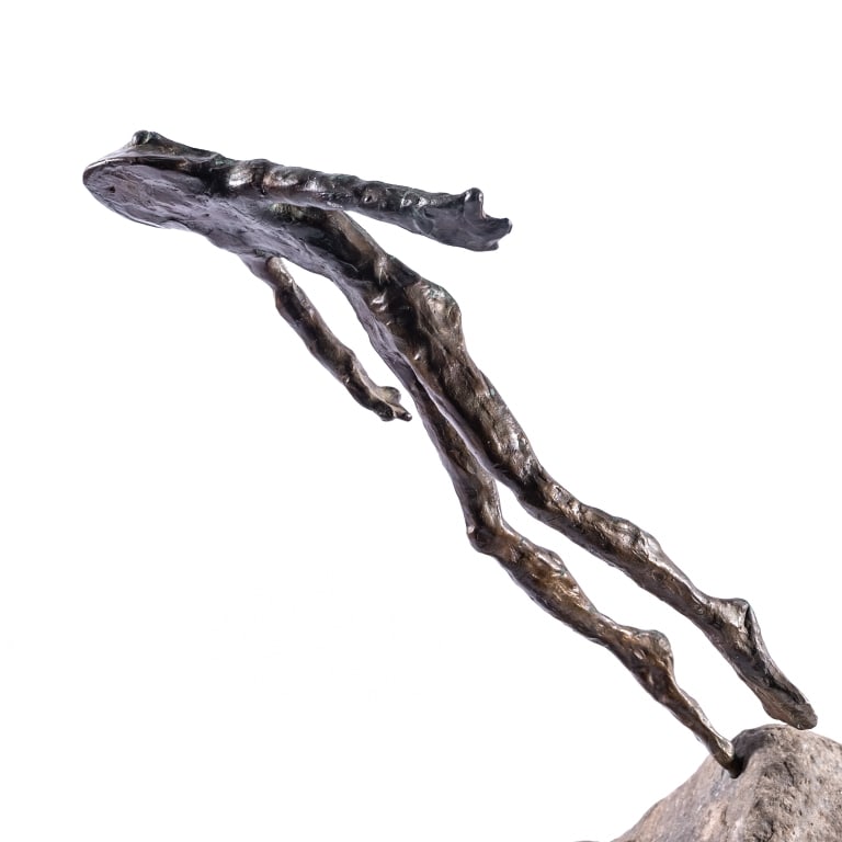 BRONZE LEAPING FROG - 2