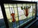 Arts & Crafts stained glass