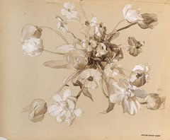 Ernest QUOST (1844-1931) Études de fleurs Ensembl: Ernest QUOST (1844-1931) Études de fleurs Ensemble de gouaches et pastels sur papier, signés du cachet d'atelier Ensemble of pastels and gouache, signed with the artist's stamp