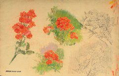 Ernest QUOST (1844-1931) Études de fleurs Ensembl: Ernest QUOST (1844-1931) Études de fleurs Ensemble de pastels sur papier, signés du cachet d'atelier Ensemble of pastels, signed with the artist's stamp