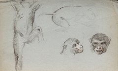 Ernest QUOST (1844-1931) Études d'animaux Ensembl: Ernest QUOST (1844-1931) Études d'animaux Ensemble de gouaches et pastels sur papier, signés du cachet d'atelier Ensemble of pastels and gouaches on paper, signed with the artist's stamp