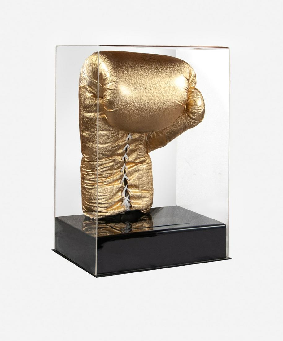 SIGNED BOXING GLOVE (1 of 7)