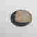 item-121460697=2