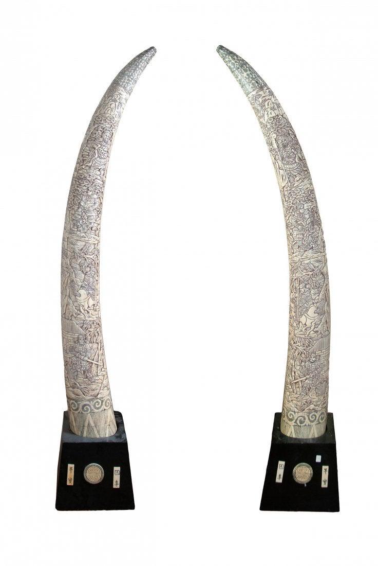 PAIR OF LARGE CARVED BONE VENEER TUSKS: H:75in(190.5cm) W:8in(20.3cm)