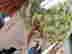 item-132014951=7