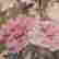 item-132015231=4
