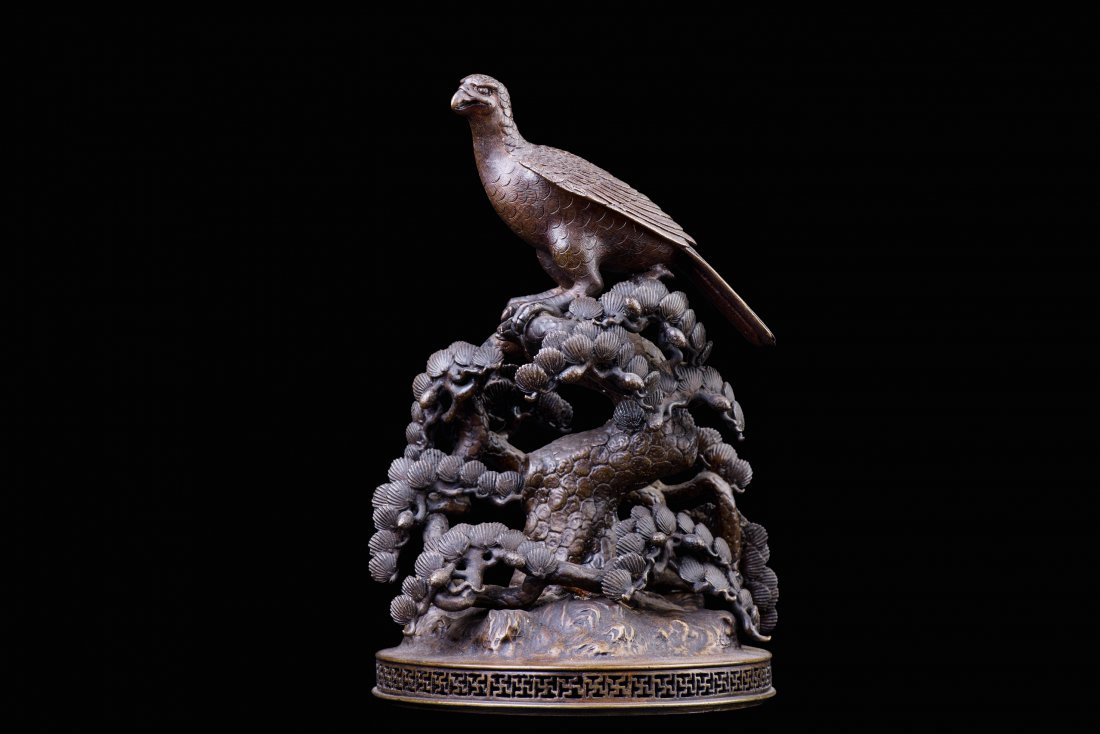 BRONZE HAWK (1 of 1)