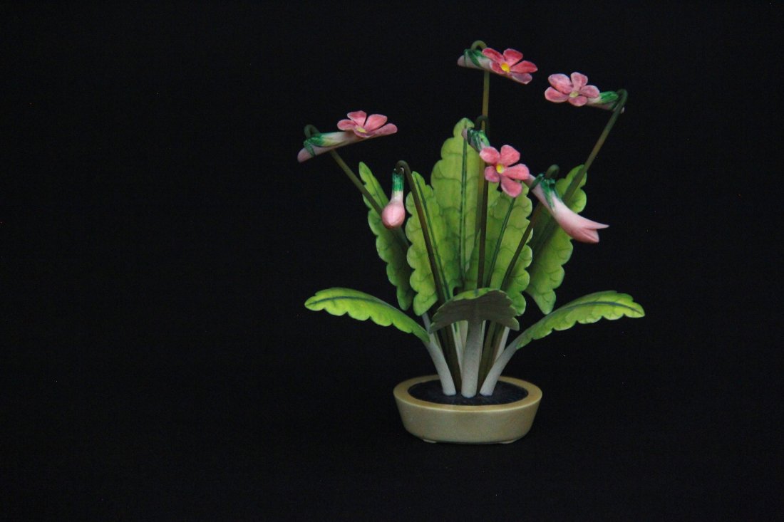 IVORY POLYCHROME POTTED PLANTS (1 of 1)