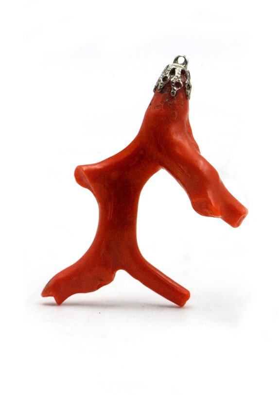 CORAL PENDANT: Sunset orange in color, well polished, in the natural shape of the coral. 2" 9g