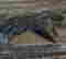 item-107353016=6