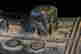 item-107353016=7