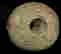 item-110176888=6