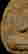 item-114144546=3