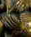 item-115893057=8