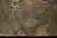item-119670887=3