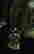 item-123829462=17