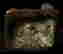 item-124055820=6