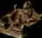 item-124055821=3