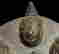item-124055871=9