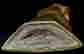 item-124055944=9