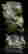 item-124055952=3